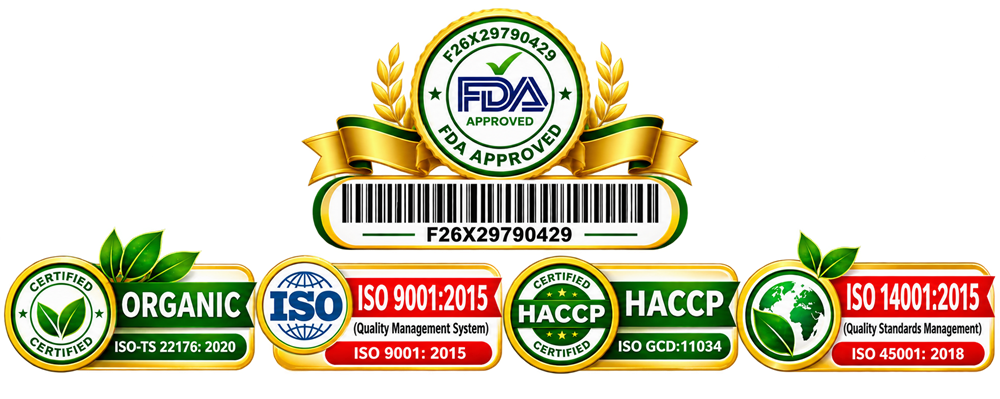 ISO TS 22176